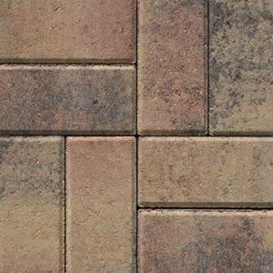 Pavers 93 Orange Yellow Chocolate