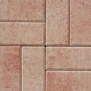 Peach Coral