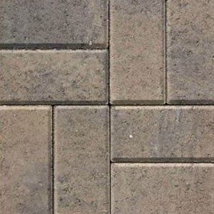 Pavers 87 Tan Chocolate