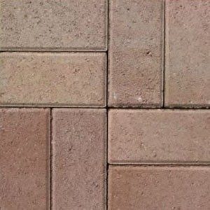 Pavers 104 Tan Goldenrod