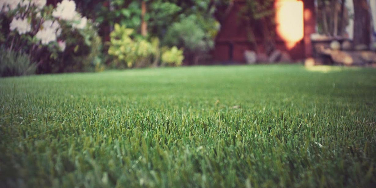 Top Benefits Of Using Synthetic Turf