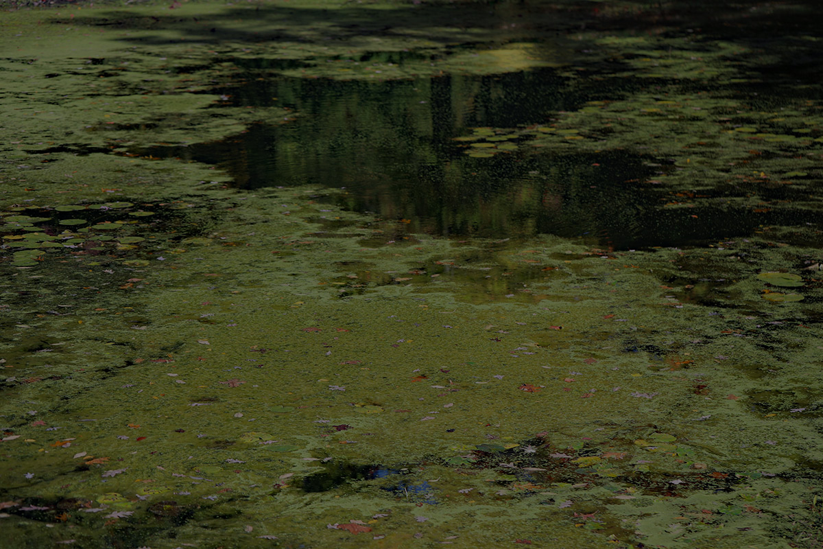 parallax background